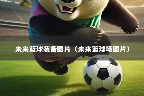 未来篮球装备图片（未来篮球场图片）