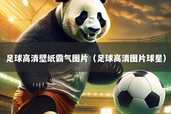 足球高清壁纸霸气图片（足球高清图片球星）