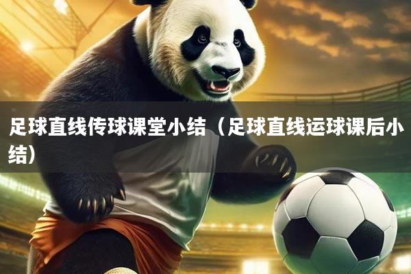 足球直线传球课堂小结（足球直线运球课后小结）