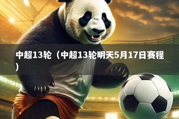 中超13轮（中超13轮明天5月17日赛程）